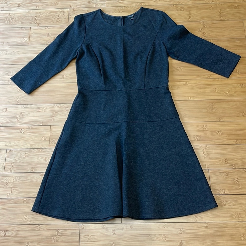 Ann Taylor Gray Quarter Sleeve Flare Dress Sz 6P